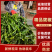 【实力商家】精品陇椒大量供应新鲜采摘货源充足代发全