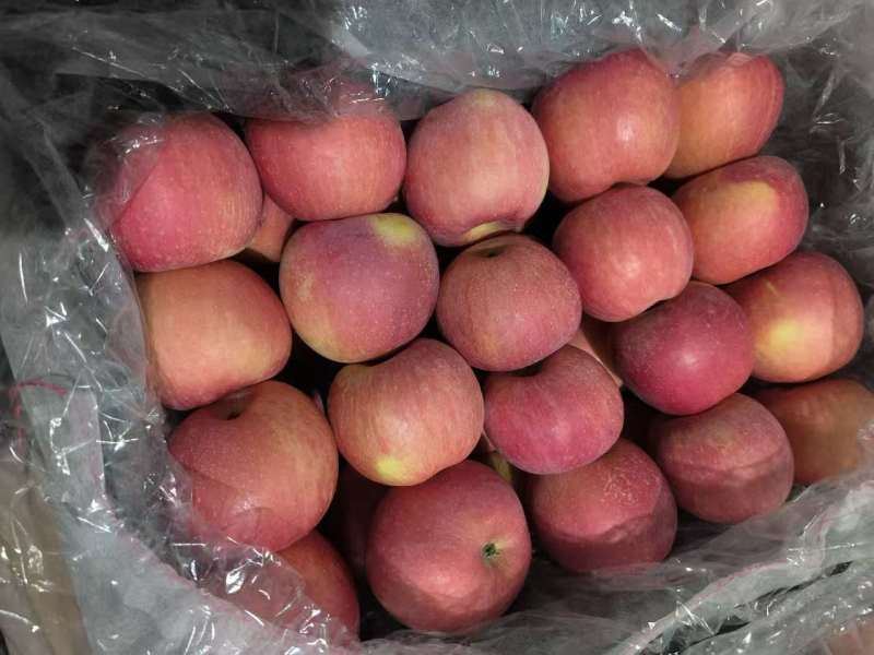 【精品】红富士河北唐山苹果电商商超批发零售欢迎采购