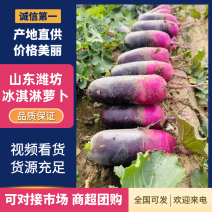 精品冰淇淋萝卜，山东潍坊萝卜，欢迎各位老板选购