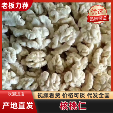 陕西商洛胜源果仁厂量产地直发，量大，欢迎老板来电咨询