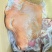 【实力推荐】河南郑州精品牛头肉牛头肉去油去骨去淋巴