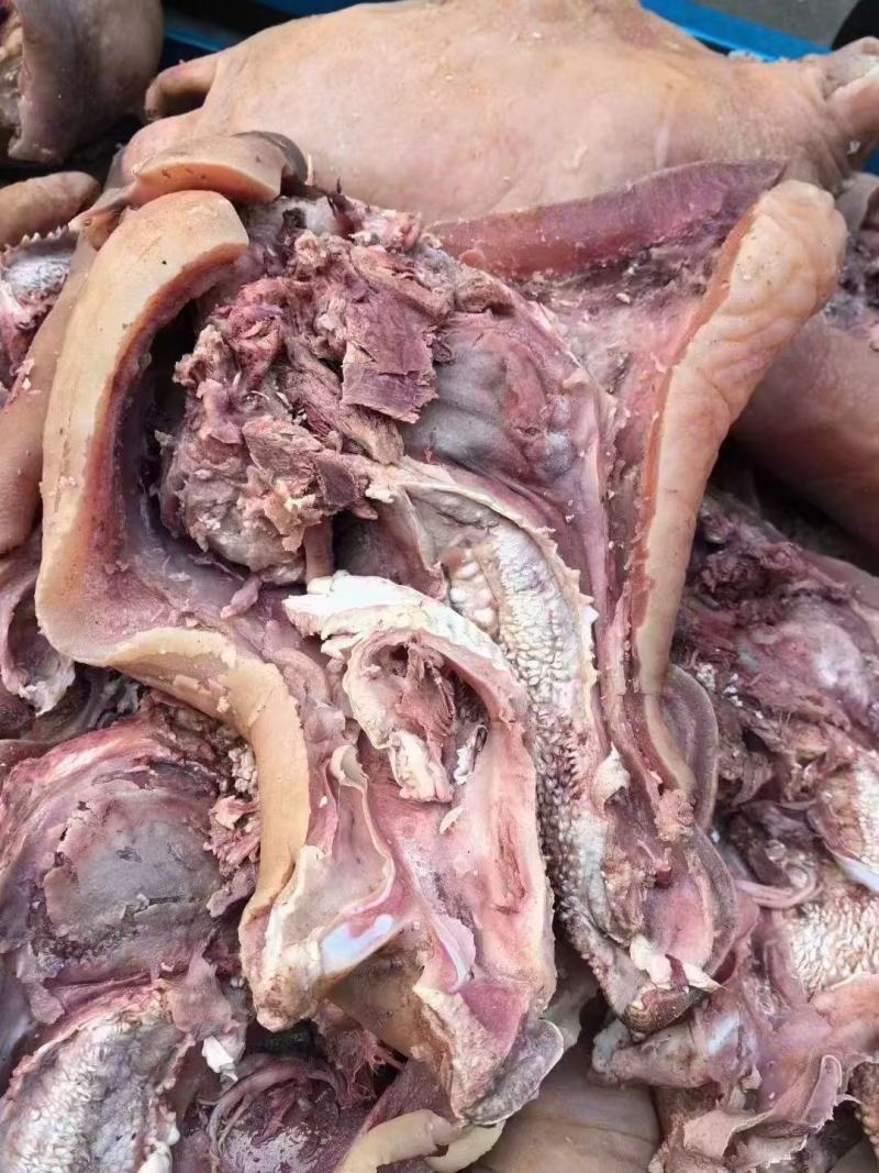 【实力推荐】河南郑州精品牛头肉牛头肉去油去骨去淋巴