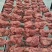 【实力热卖】精品全熟牛脖肉一手货源全国冷链发货品质保障