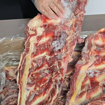 【实力推荐】河南精品满肉牛羽骨全国冷链发货一手货源