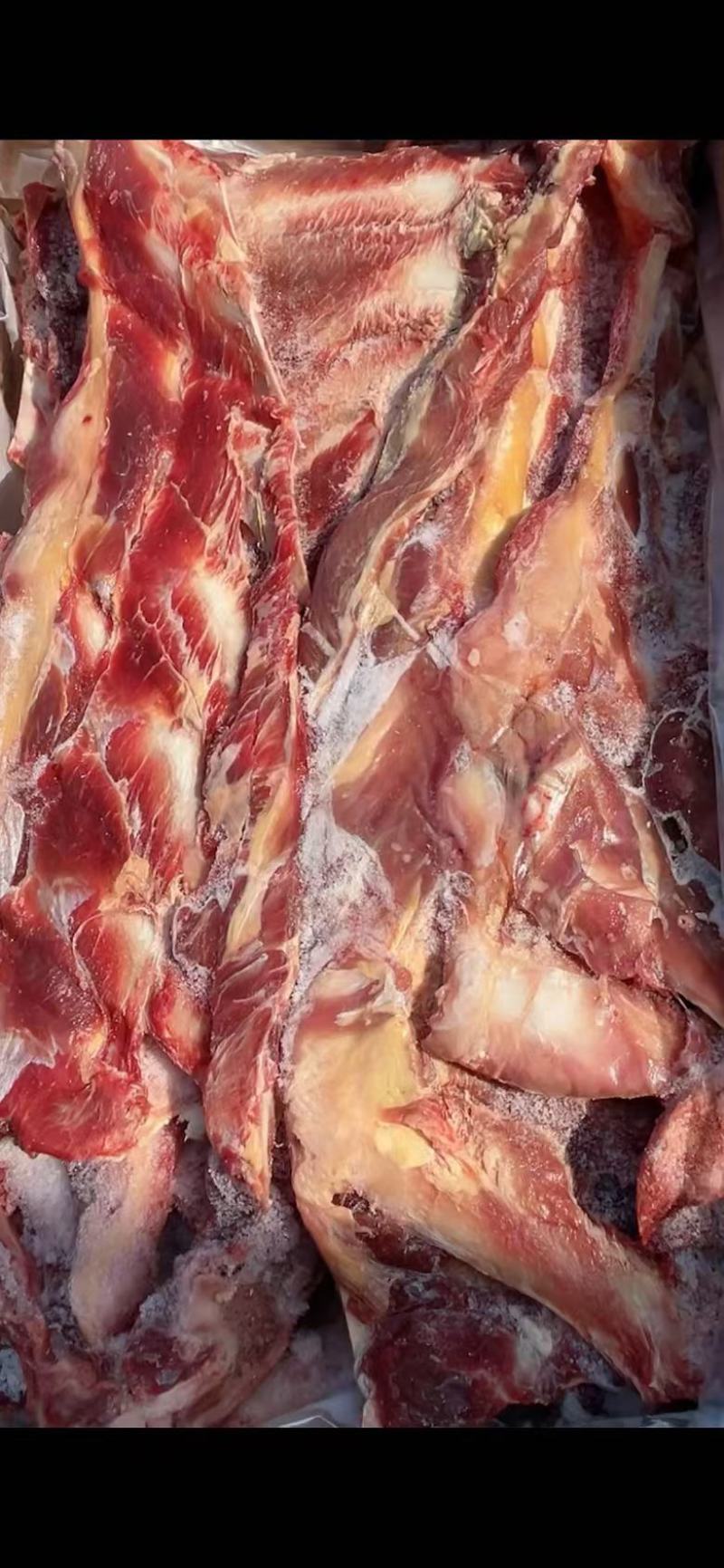 【实力推荐】河南精品满肉牛羽骨全国冷链发货一手货源