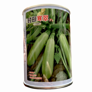 西葫芦种子时田寒翠产量高雌花多油亮嫩绿采收早