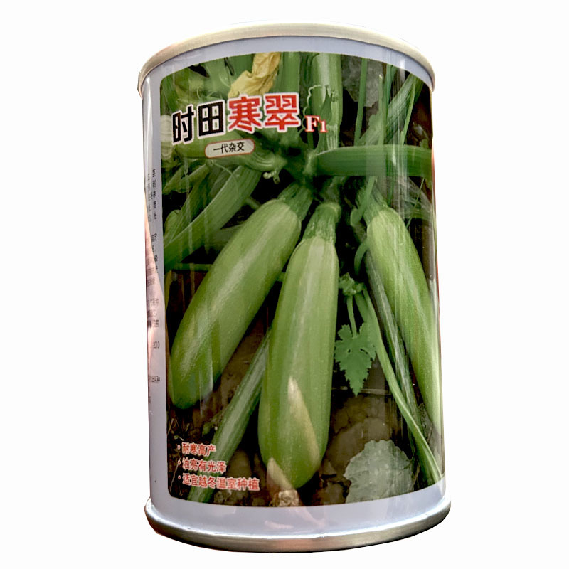 西葫芦种子时田寒翠产量高雌花多油亮嫩绿采收早