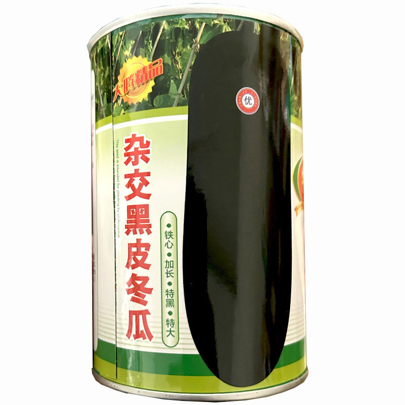 黑皮冬瓜种子268铁心加长肉厚50g大田基地品种