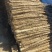 铁棍山药山西正宗铁棍山药基地现挖现发品质保证
