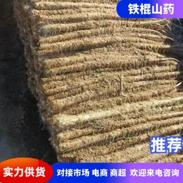 铁棍山药山西正宗铁棍山药基地现挖现发品质保证