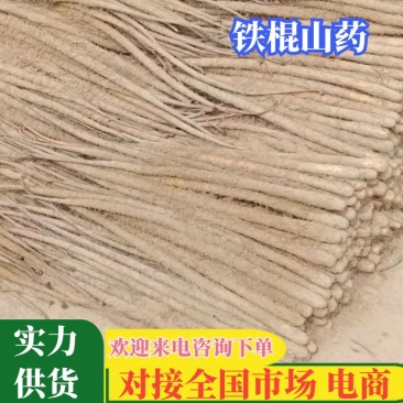 【铁棍山药】2025新鲜山药大量上市软糯香甜对接市场