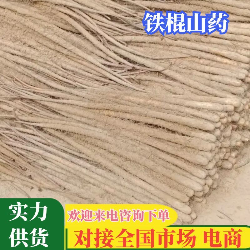 【铁棍山药】2025新鲜山药大量上市软糯香甜对接市场