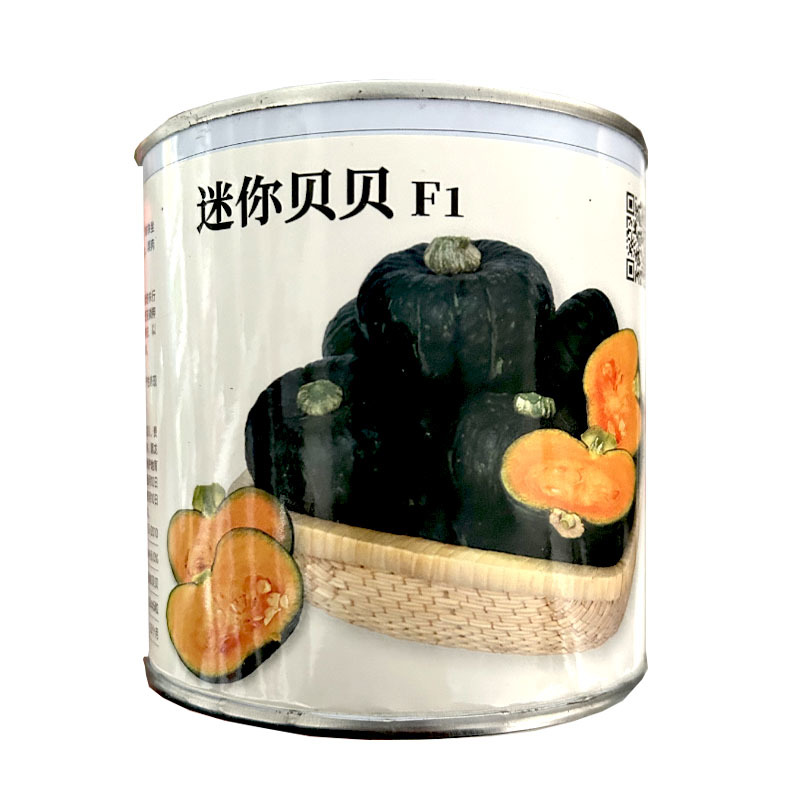 贝贝南瓜种子小南瓜果肉杏黄色易座果雌花多基地