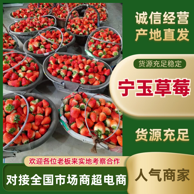 徐州草莓宁玉草莓大量上市中，规格齐全，现摘现发可视频看货
