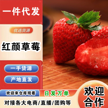 丹东99红颜草莓一件代发产地直发一手货源对接各大电商平台