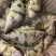 鳌花鳜鱼黑龙江佳木斯辽宁前当铺市场现货提前2天预定