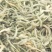 【热卖推荐】金银花北花一号产地直销量大质优价格优惠