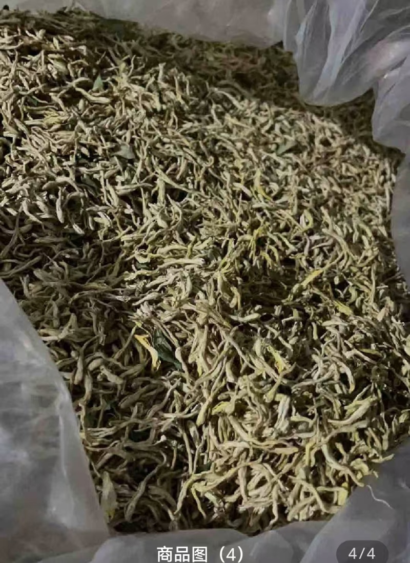 【热卖推荐】金银花北花一号产地直销量大质优价格优惠