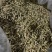 【热卖推荐】金银花北花一号产地直销量大质优价格优惠