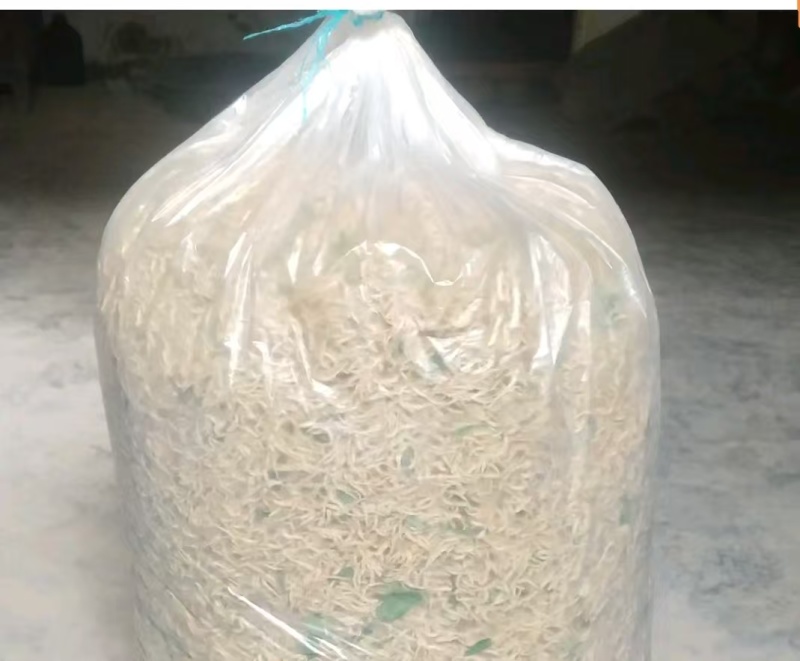 金银花北花一号种植大户产地直销价优欢迎各大老板采购