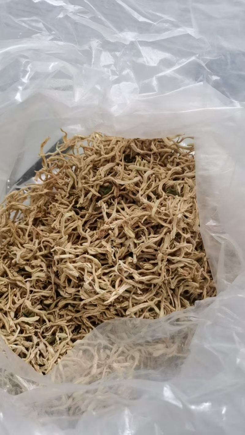金银花北花一号种植大户产地直销价优欢迎各大老板采购