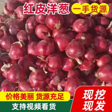 红葱
