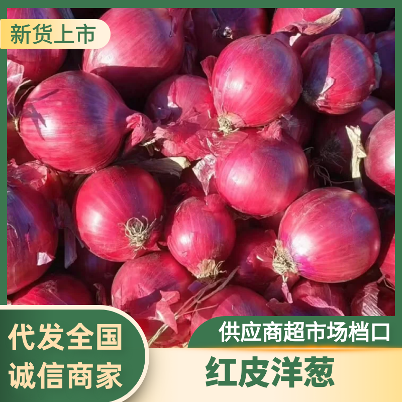 大红葱