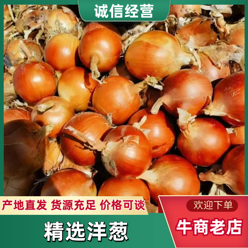 红葱
