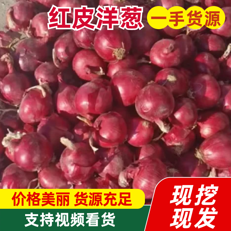 红葱