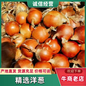 黄葱大量供应保质保量对接全国市场量大从优价格美丽