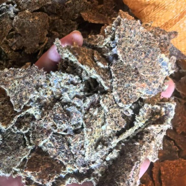 棉籽饼有机肥厂家直供量大价优对接全国市场质量保证欢迎致电