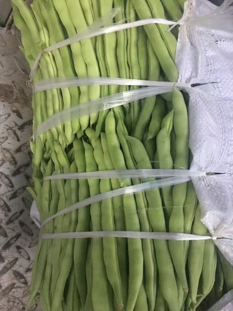 精品豆角青条豆角一手货源产地直发可供商超市场批发