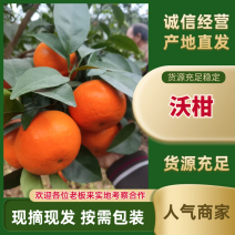 广西沃柑广西柑桔产地直供纯甜多汁对接商超市场社区