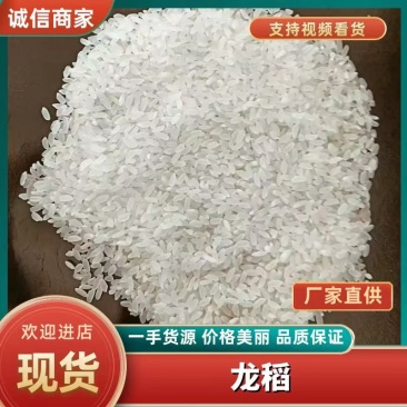 干净卫生龙稻大米好吃软糯欢迎前来咨询