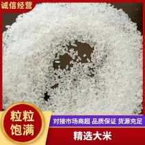 产地直供发五长粒香大米优质美味