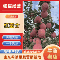 山东红富士苹果品质好，价格低，量大从优，来电咨询