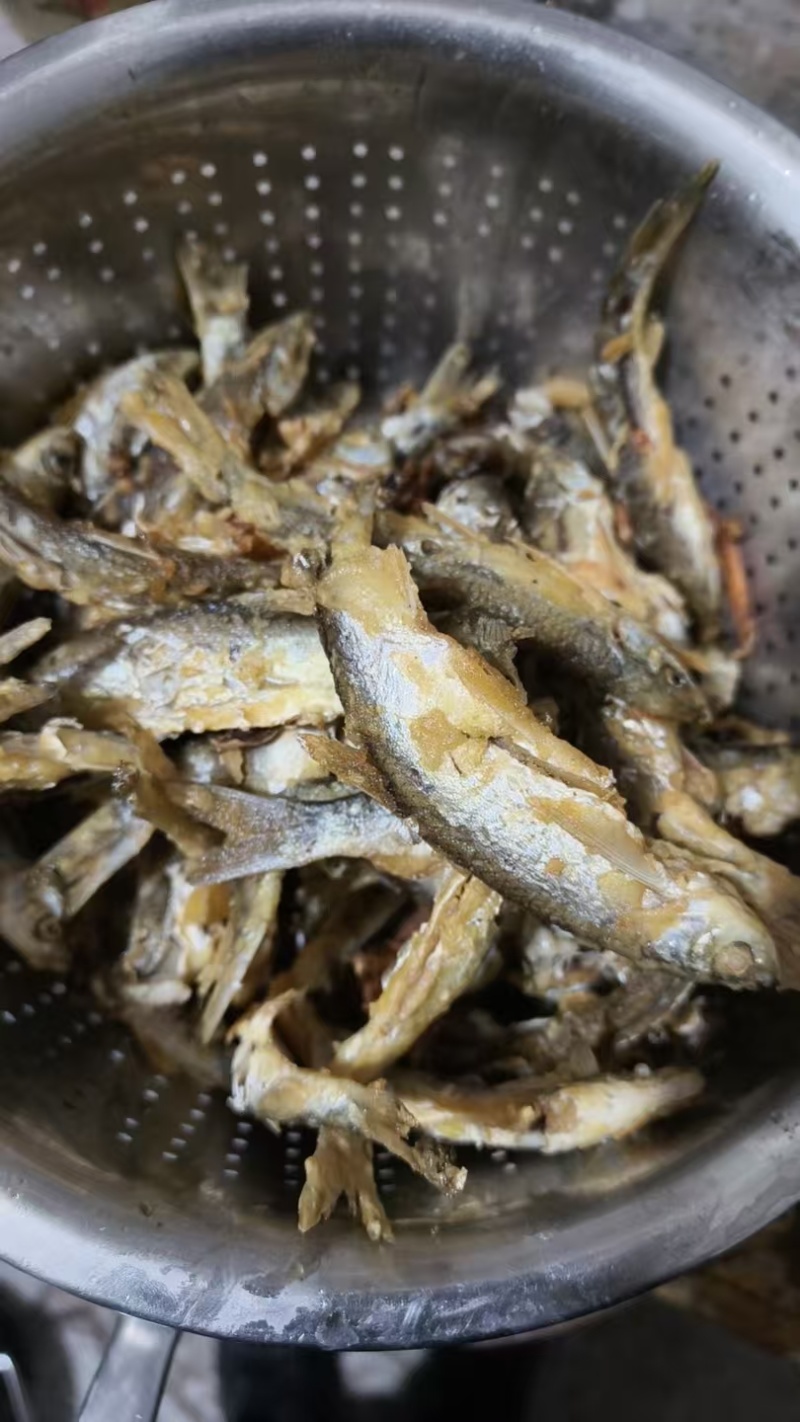 小鱼，新鲜小鱼，野生小鱼，一两左右，现捞现发，欢迎咨询