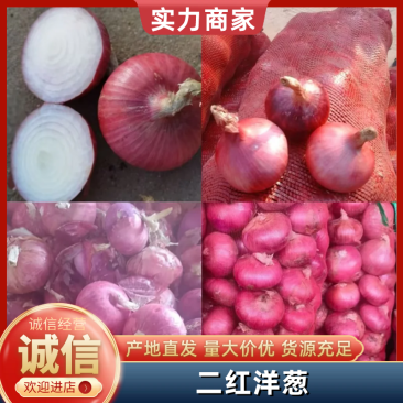 洋葱，红，黄皮洋葱产地直销，一吨起批质量好，价格低。