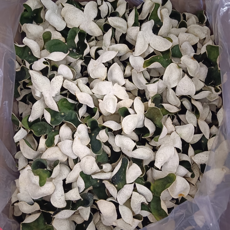柑皮新会青皮广西青皮三花青