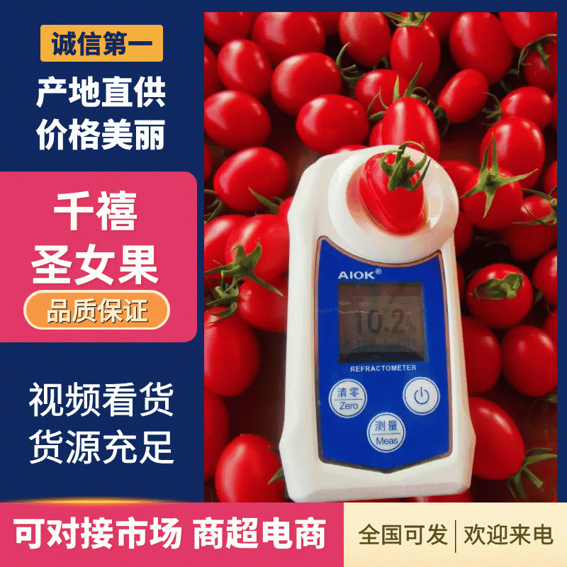 【实力】广东圣女果大量上市对接全国市场商超质量保证