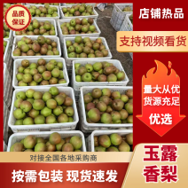 玉露香梨产地发货大量上市货源充足品质保证价格便宜欢迎咨询