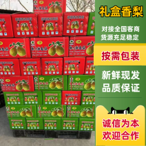 库尔勒香梨，红香酥，新梨七号，礼盒香梨大量有货