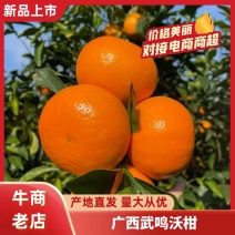 广西武鸣沃柑，支持电商一件代发，落地配，社区团购市场货等