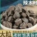 2024年新货辣木籽超大颗粒批发一件代发
