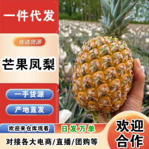 海南芒果凤梨一件代发产地直发一手货源对接各大电商平台