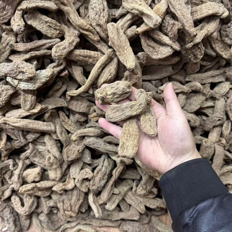 天麻批发乌天麻散装现货批发多种规格供应量大价优