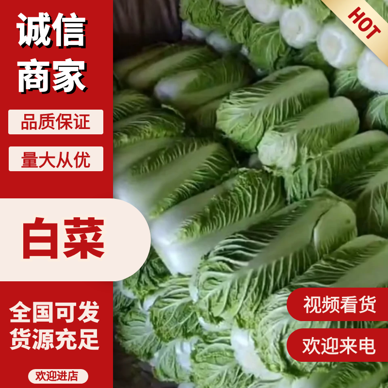 北京三号白菜，根白叶绿，无烧心黑点