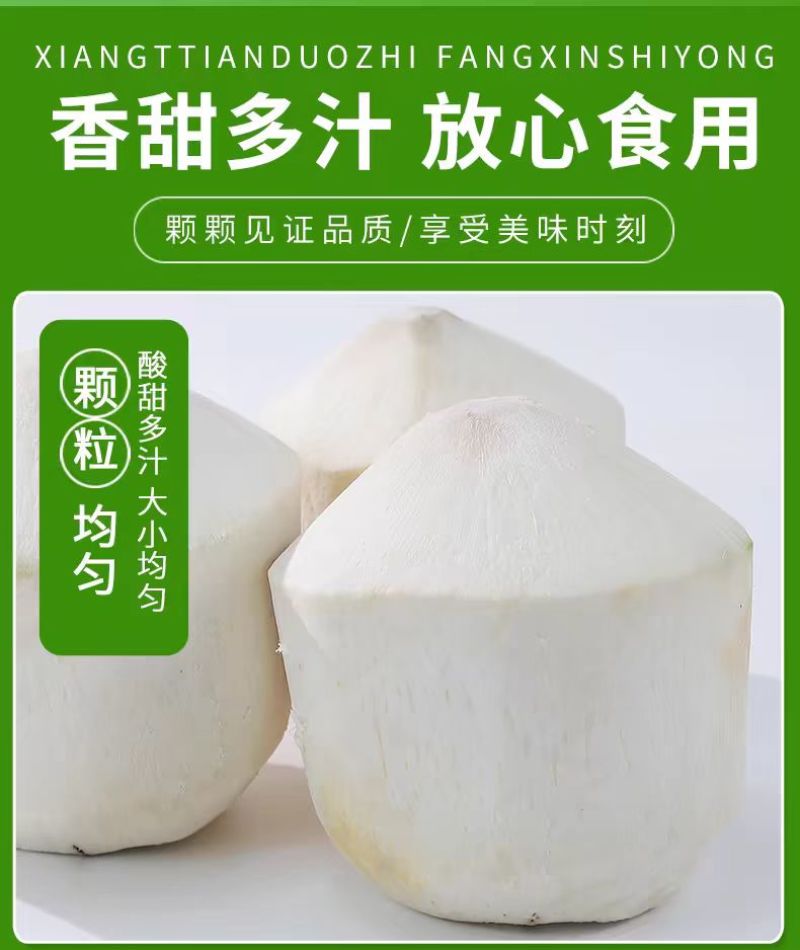 【热卖】海南椰青量大从优批发代发***********