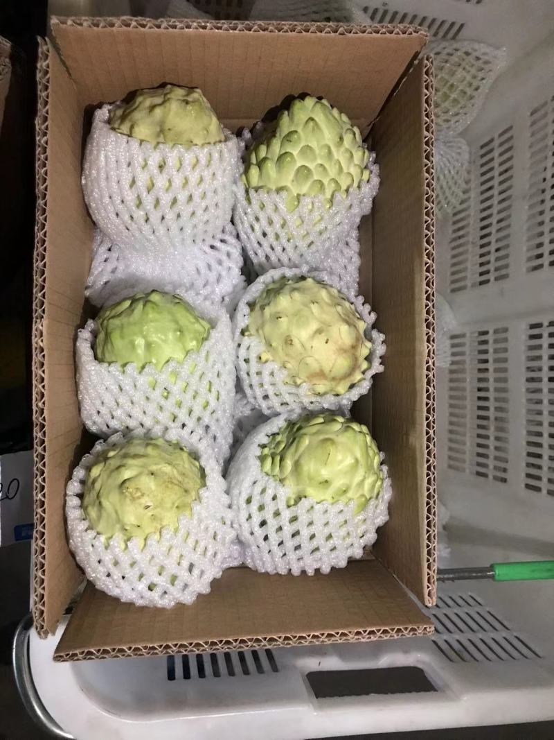 云南凤梨释迦一件代发产地直发一手货源对接各大电商平台