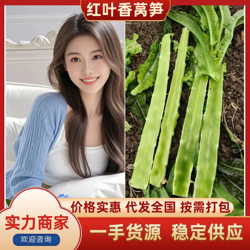 红叶莴苣丨宿州莴笋丨杆子一一一一丨价格便宜丨一一质量好